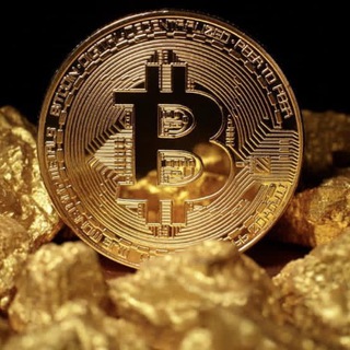 Telegram profile photo for Airdrop_world|ايردراپ_جهان