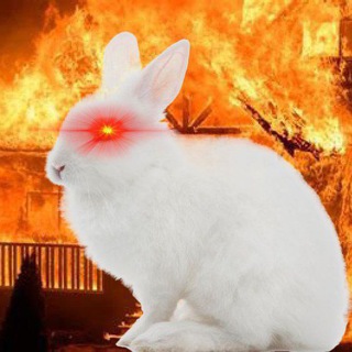 Telegram group profile photo for White Hat Army
