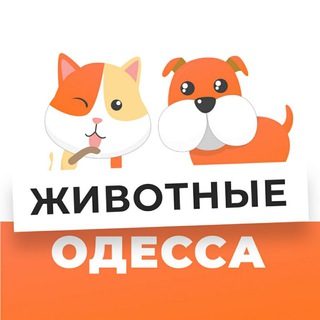 Telegram group profile photo for Животные Одесса