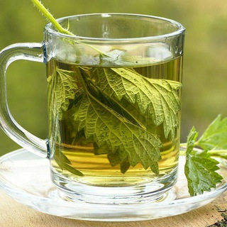 Telegram group profile photo for Plantas silvestres y salvajes