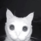 Telegram profile photo for бубубу