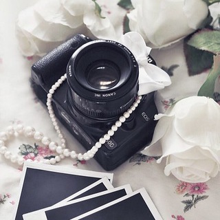 Telegram profile photo for يوميات نوني
