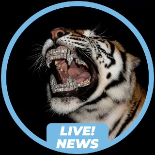 Telegram profile photo for TradeTourney