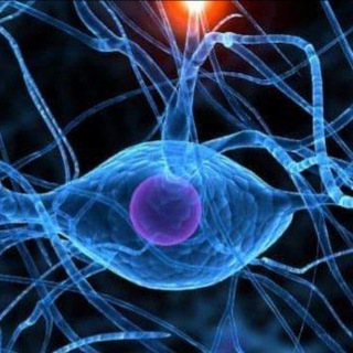 Telegram profile photo for Bio resonantie & magnetische therapie