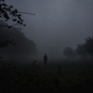 Telegram profile photo for Keepsake in the Night. یادگاری در شب