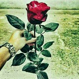 Telegram profile photo for Oʻtmishingdan dars ol Afsuslanma