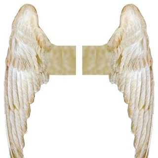 Telegram profile photo for whymorfi PEGASUS AVENUE