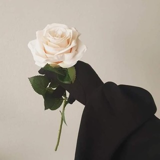 Telegram profile photo for كارديـنـيـا 🌸💜