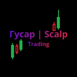Telegram profile photo for Гусар|ScalpDiary