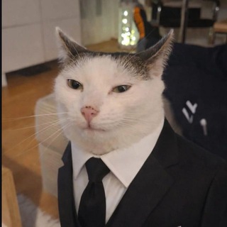 Telegram profile photo for Сальный Азин