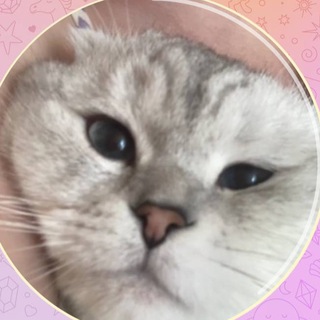 Telegram profile photo for Yanix PW - фильмы, сериалы 18+