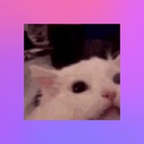 Telegram profile photo for БАБАYAGA