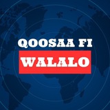 Telegram profile photo for QOOSAA Fi WALALOO 😁😁😁