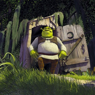 Telegram group profile photo for 🇺🇦SHREK OTC