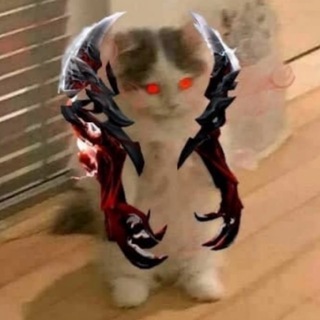 Telegram profile photo for dota 2 в схемах и мемах