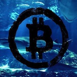 Telegram profile photo for Crypto SharkTank