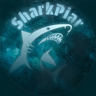 Telegram profile photo for SharkPR ( Просмотры)