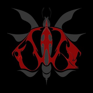 Telegram profile photo for The Wasp Invasion
