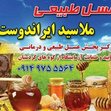 Telegram profile photo for طب سنتی با عسل طبیعی 《ملاسید》و محصولات زنبور عسل، گرده گل،ژل رویال ،بره موم و....از کوه های کردستان 🐝🍯