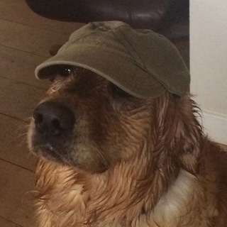 Telegram profile photo for Mulisha
