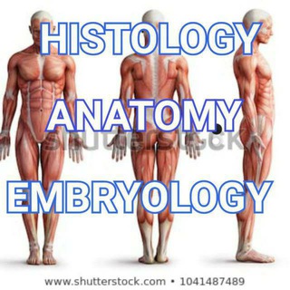 Telegram profile photo for Anatomy and physiology