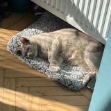 Telegram profile photo for гаражик