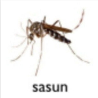 Telegram profile photo for SASUN
