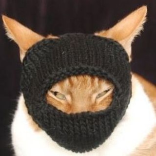 Telegram profile photo for Осоння