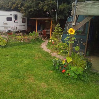 Telegram profile photo for Pirate's Off Grid Homestead