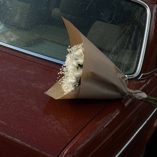 Telegram profile photo for | PODCAST |