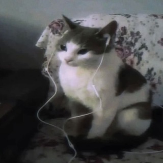 Telegram profile photo for Attack on NUET