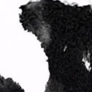 Telegram profile photo for sawmedead #not420GANG