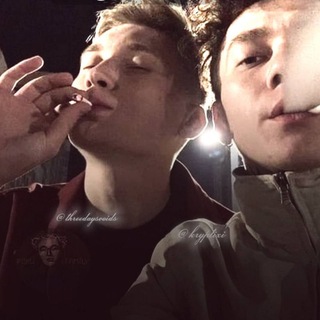 Telegram profile photo for вискас