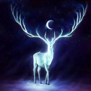 Telegram profile photo for HeilungDerMenschheit "👼🏼🙏🏼💞✨"