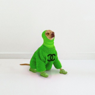 Telegram profile photo for Новая мода