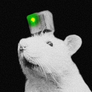 Telegram group profile photo for $PYTHIA OFFICIAL COMMUNITY CHAT