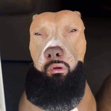 Telegram profile photo for Memes México