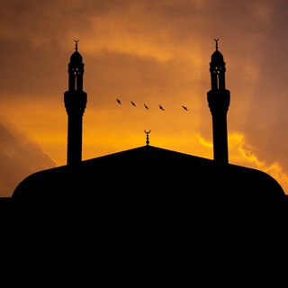 Telegram profile photo for أصوات قرآنية