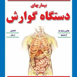 Telegram profile photo for سندروم روده تحریک پذیر ibs ، معده ، اعصاب و روان ، ibd ، گوارش