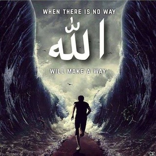 Telegram profile photo for islam is the right way