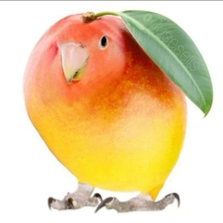 Telegram profile photo for Тюрьма Айны || РЕСТ