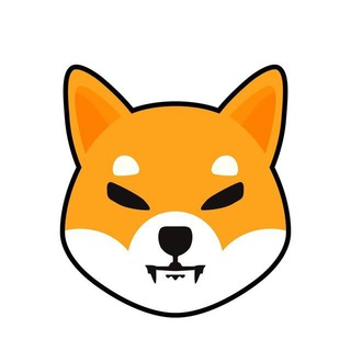 Telegram profile photo for DexRocket SHIB