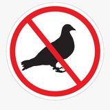 Telegram profile photo for Банкротство? О праве? Ненаптичем!
