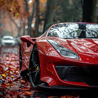 Telegram profile photo for سوپر گروه همکاران نمایشگاهی