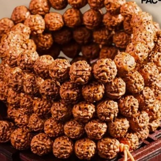 Telegram profile photo for Rudraksha kanali