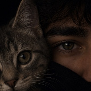Telegram profile photo for Zack