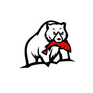 Telegram profile photo for Рыболовный магазин BEARKING🎣