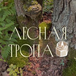 Telegram profile photo for ⊹˚🕯️лесная тропа🕯️。༅