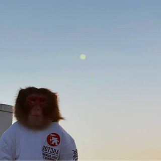 Telegram profile photo for shawkey