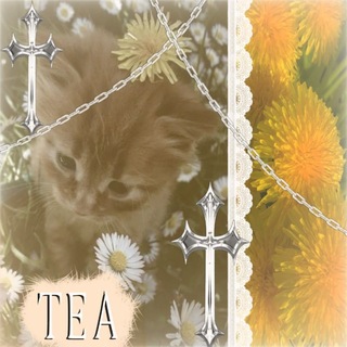 Telegram profile photo for Чай 🍵